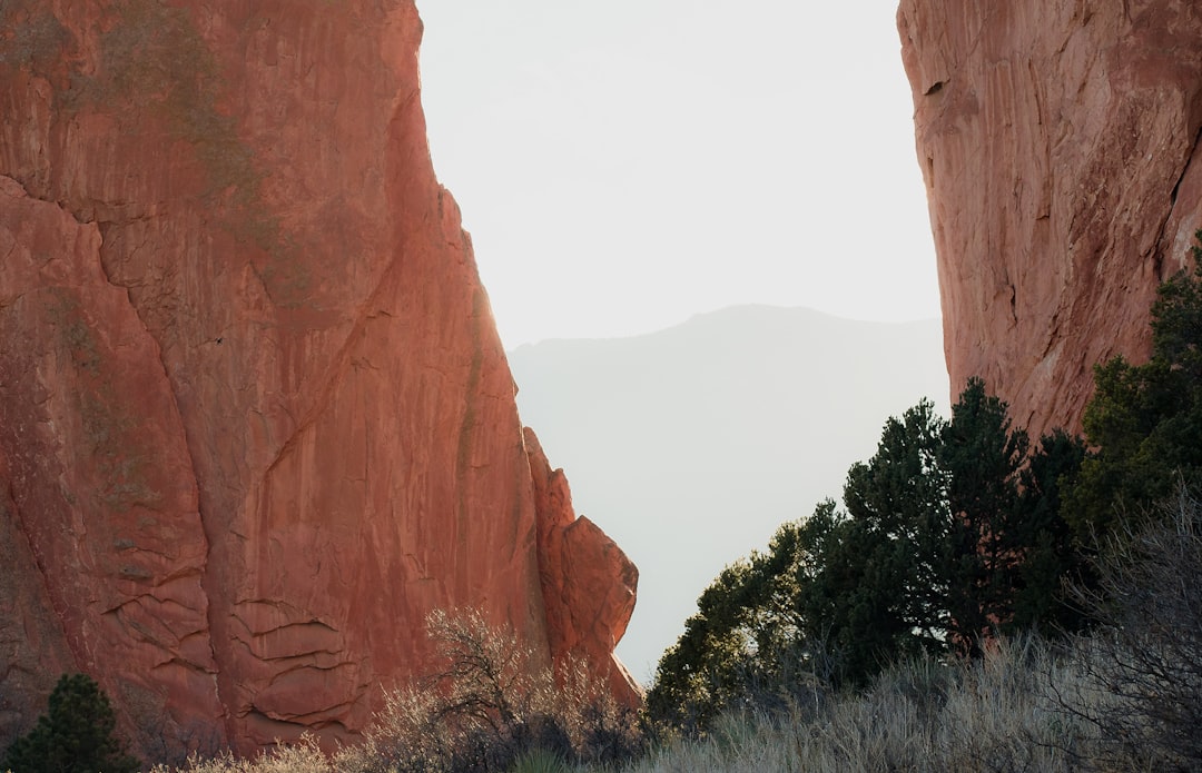 Garden of the Gods red rock formations at sunrise