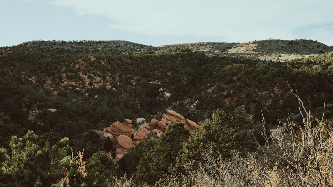hiker looking at a map in Red Rock Canyon Open Space Colorado Springs
