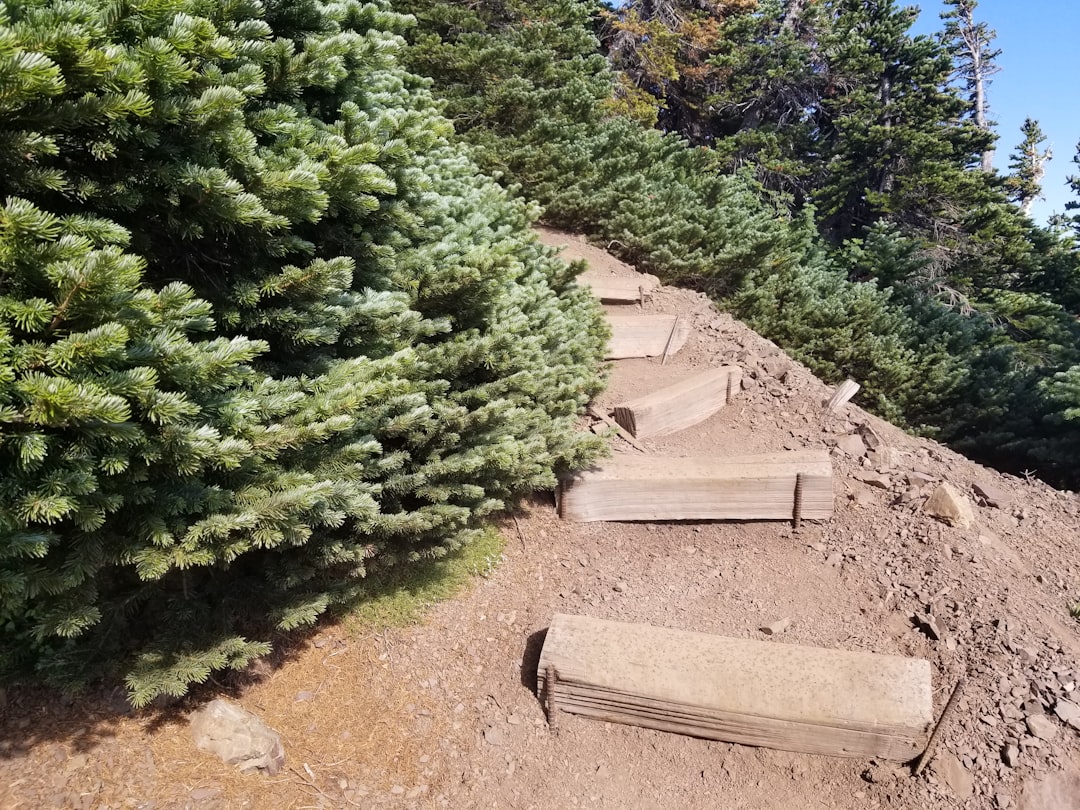 Manitou Incline trail steps going up a mountain