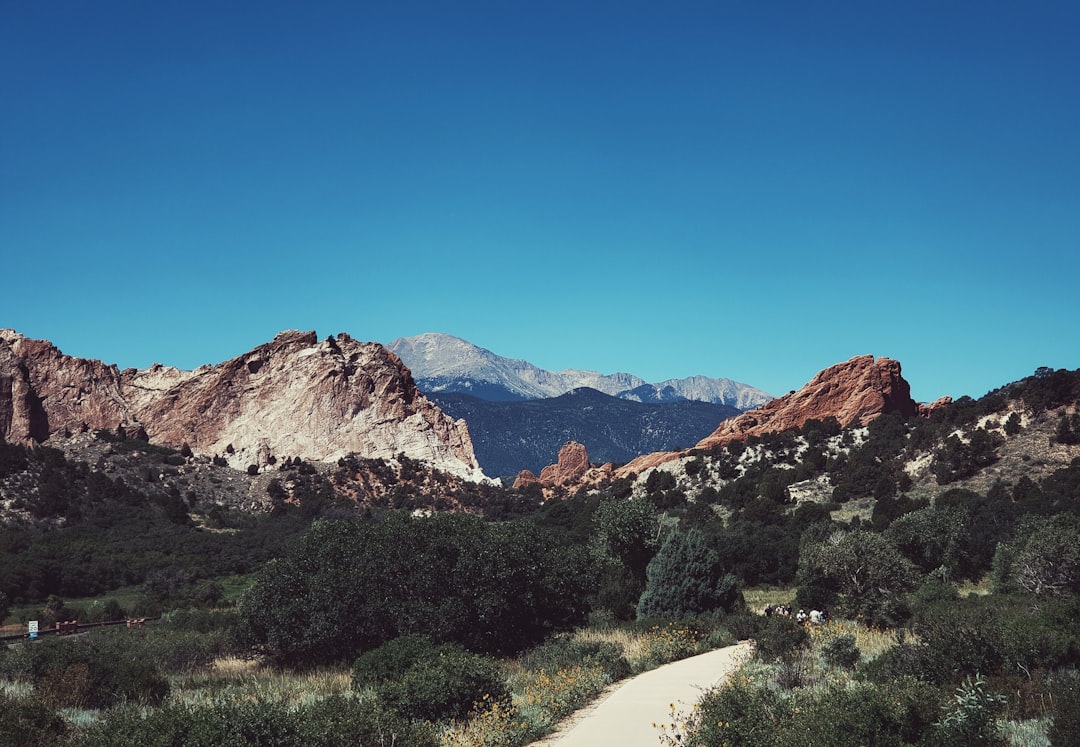 red rock formations and desert plants in Colorado