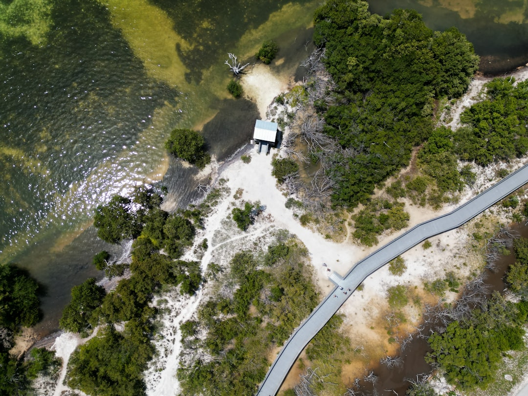 aerial view of a clear blue florida spring surrounded by lush green cypress trees
