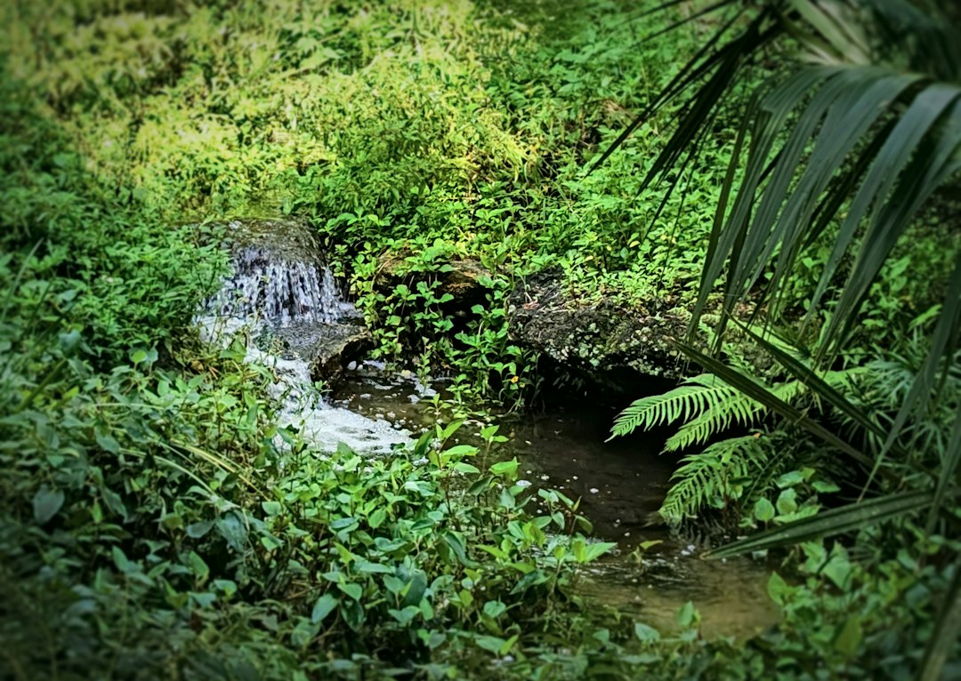 Devil's Millhopper State Park