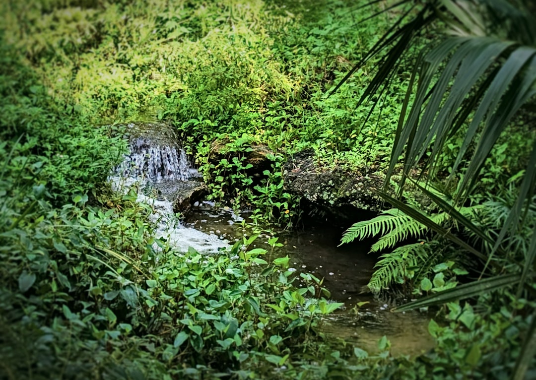 Devil's Millhopper State Park