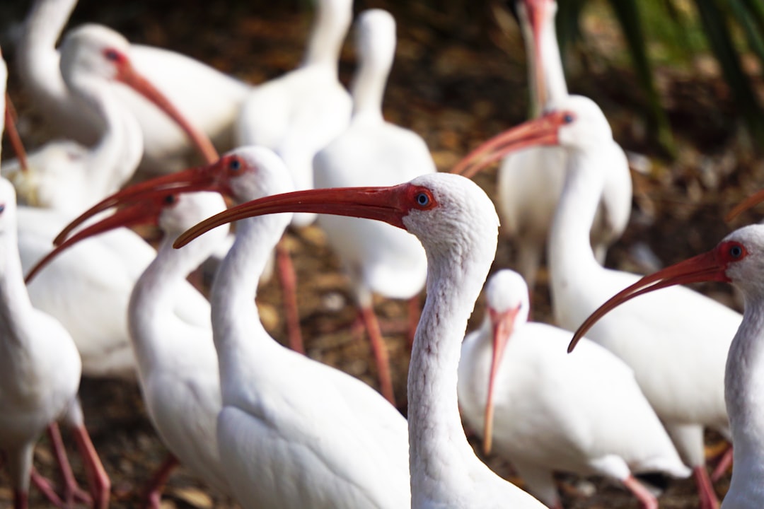 Ultimate Gainesville Travel Guide: Beyond the Campus