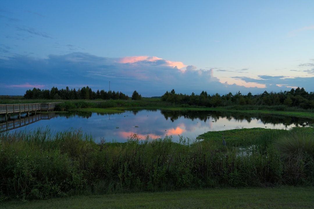 Gainesville on a Dime: Your Guide to the Best Free Family Activities