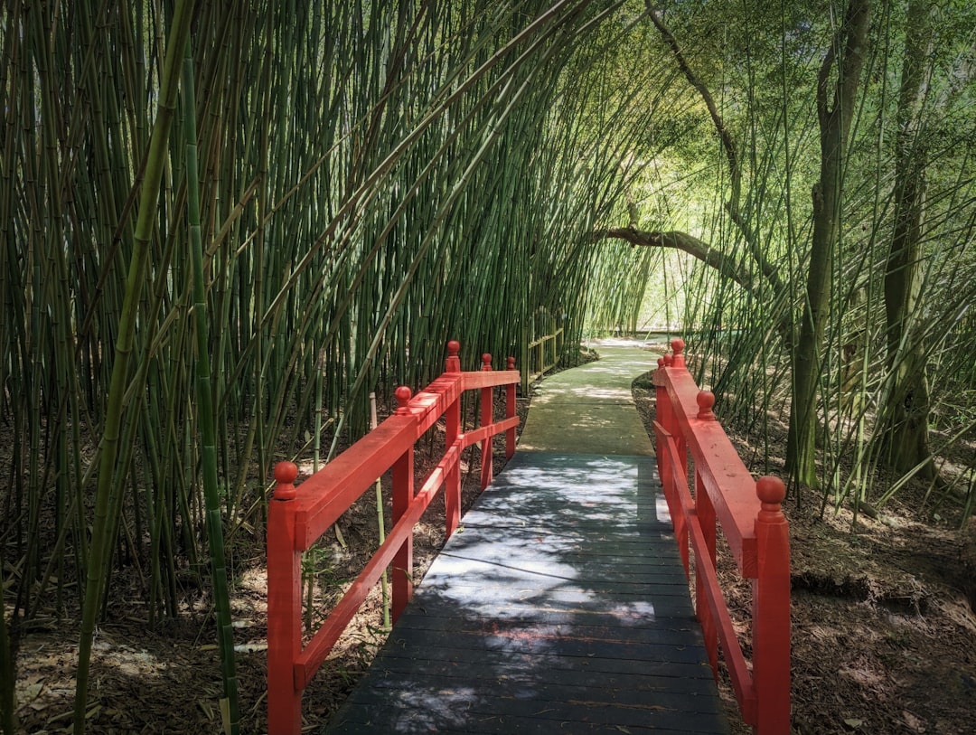 Kanapaha Botanical Gardens