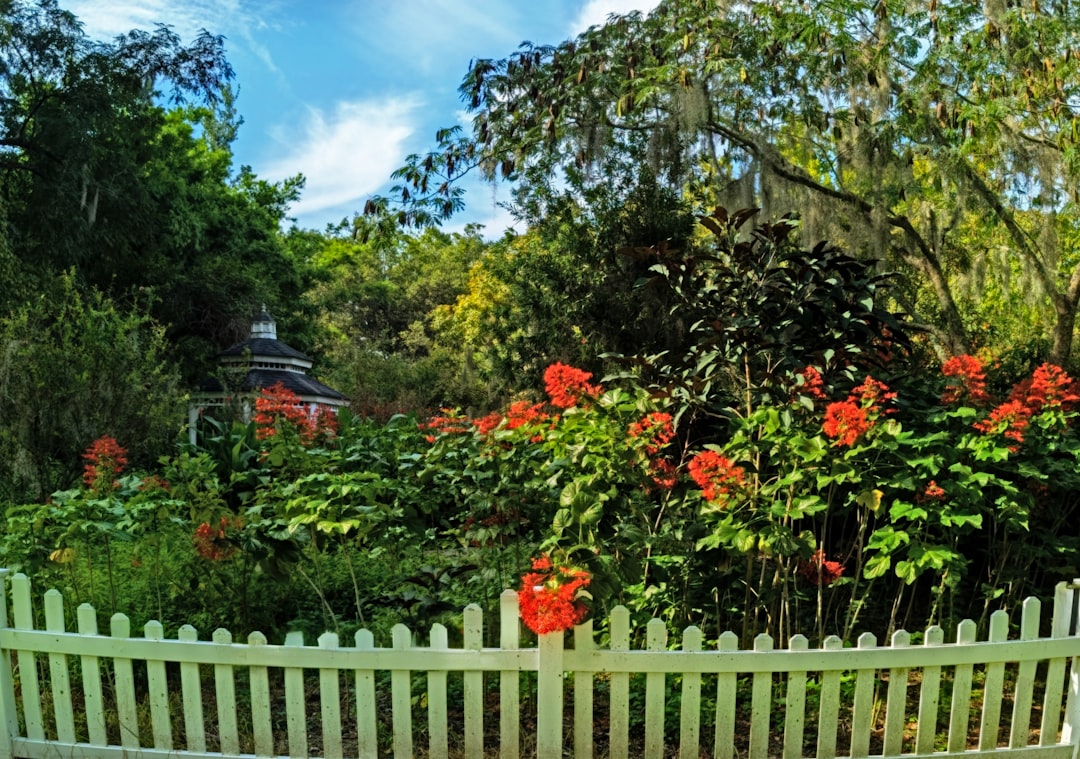 Kanapaha Botanical Gardens