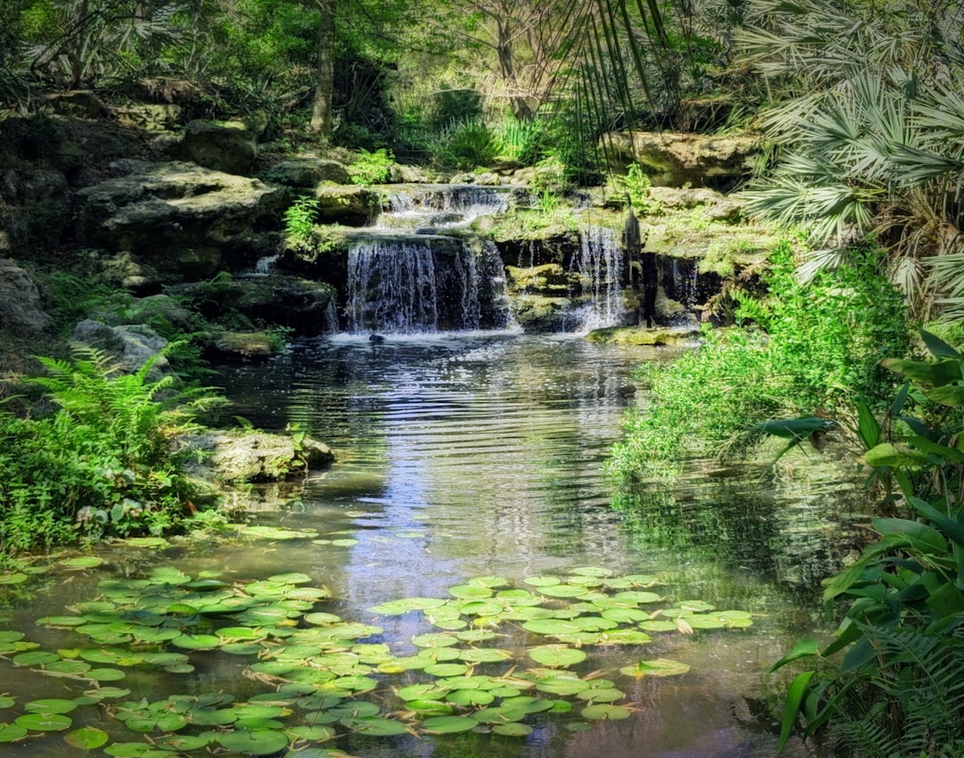 Kanapaha Botanical Gardens