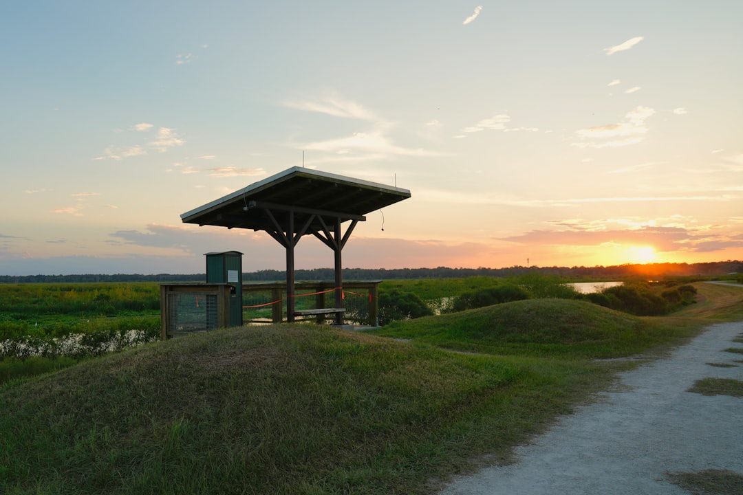 Paynes Prairie Preserve