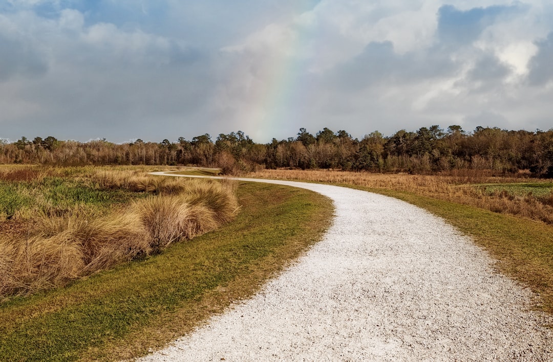 Paynes Prairie Preserve