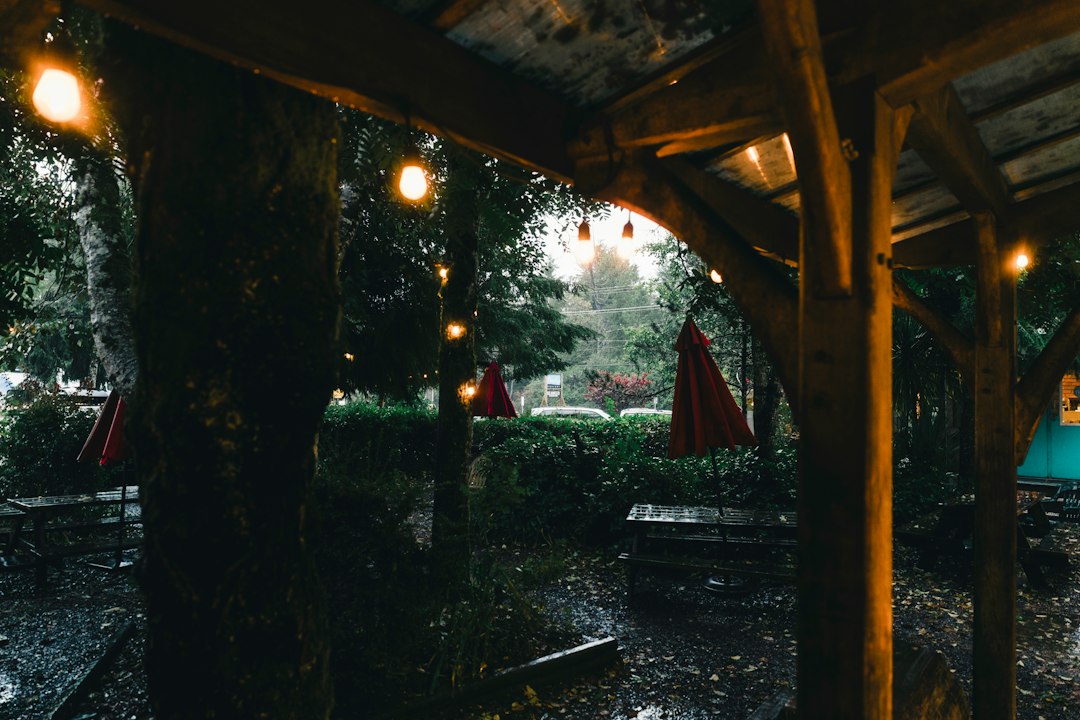 quirky outdoor seating area of a bohemian pizza restaurant with string lights
