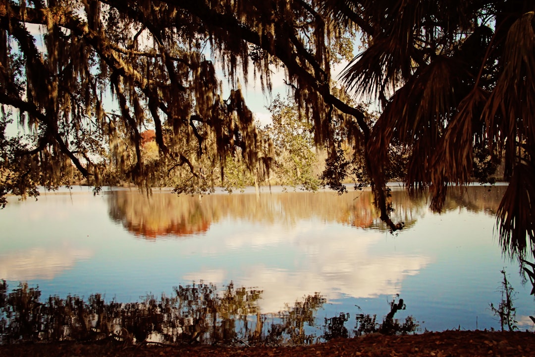 The Ultimate Guide to the Best Natural Springs Near Gainesville, FL