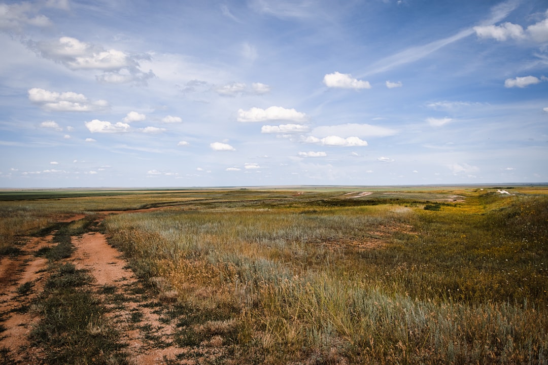 wooden boardwalk over a vast grassy prairie at sunrise with wild horses in the distance