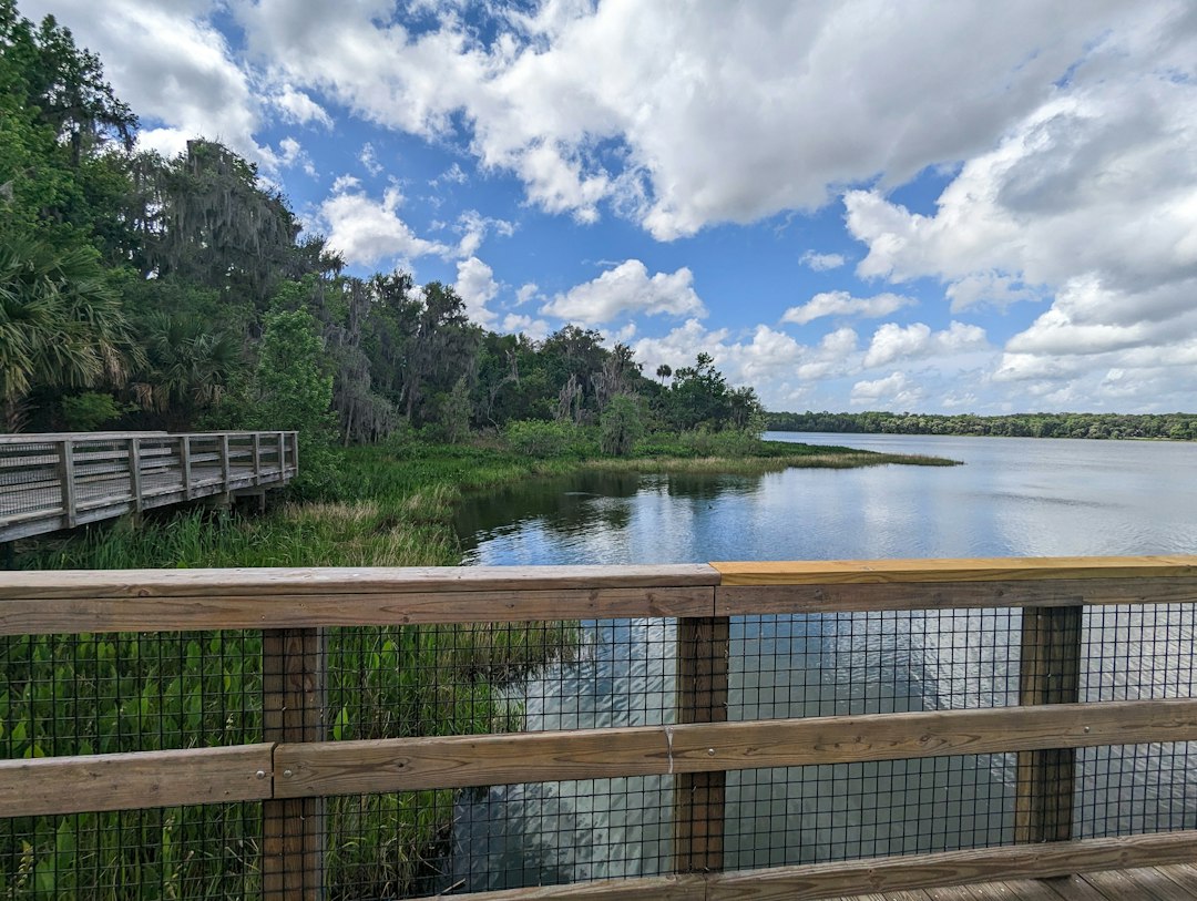 wooden boardwalk through a lush Florida wetland at sunrise