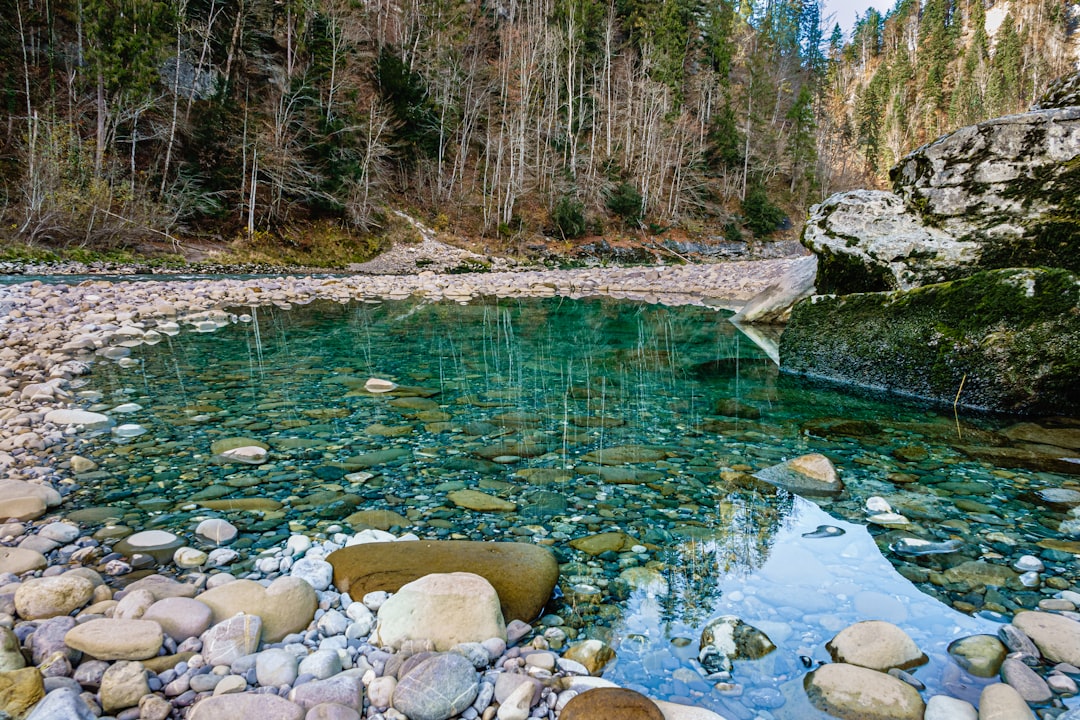 crystal clear spring-fed river with lush green foliage on the banks