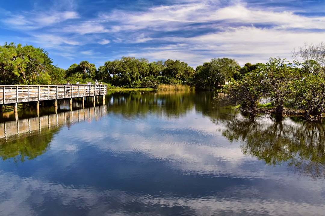crystal clear turquoise water of a Florida natural spring surrounded by green trees