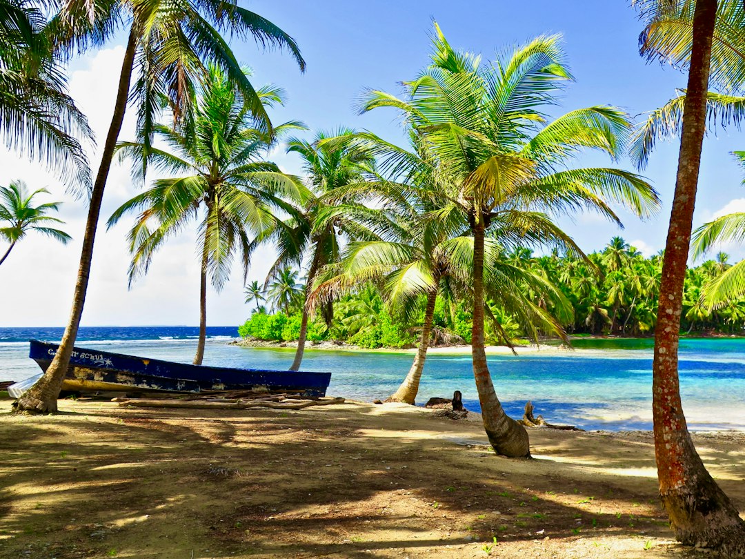 Shell Island