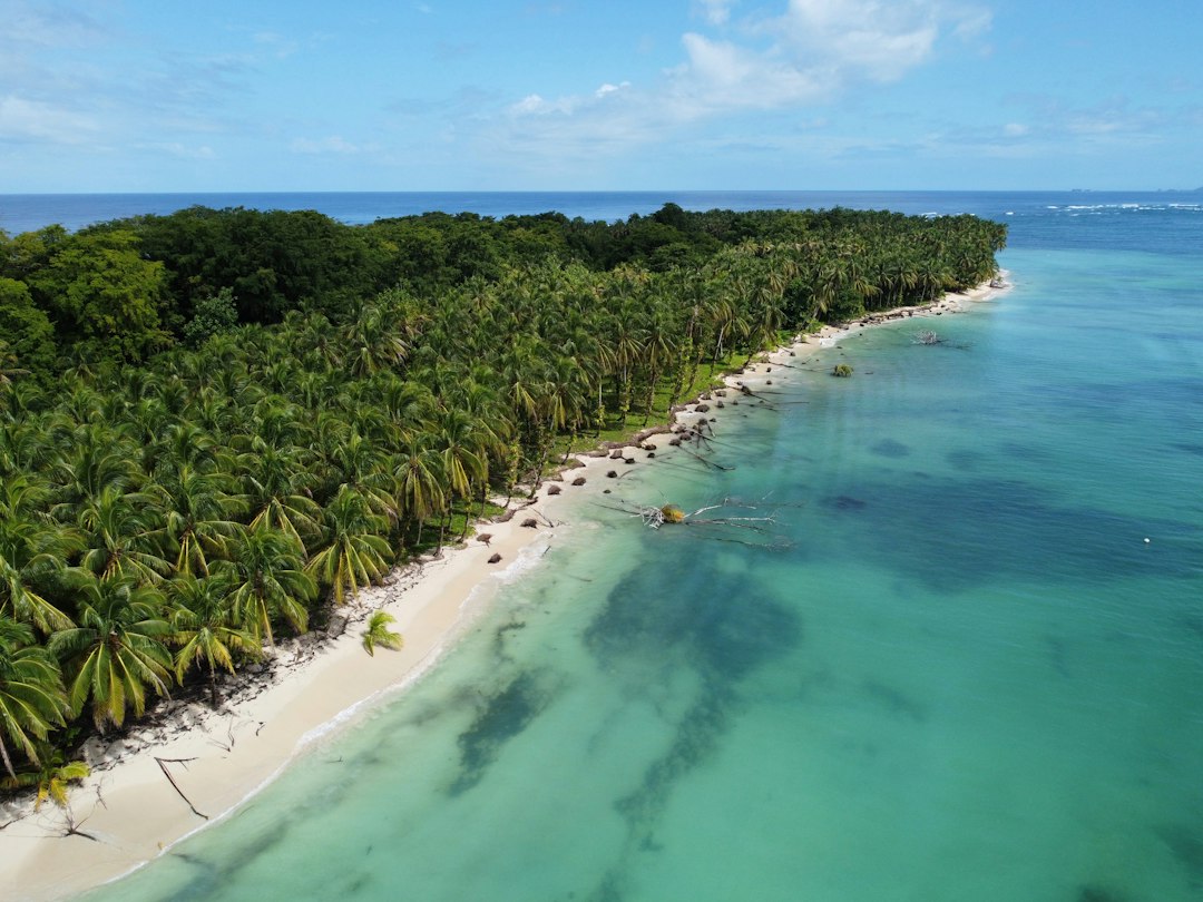 Shell Island