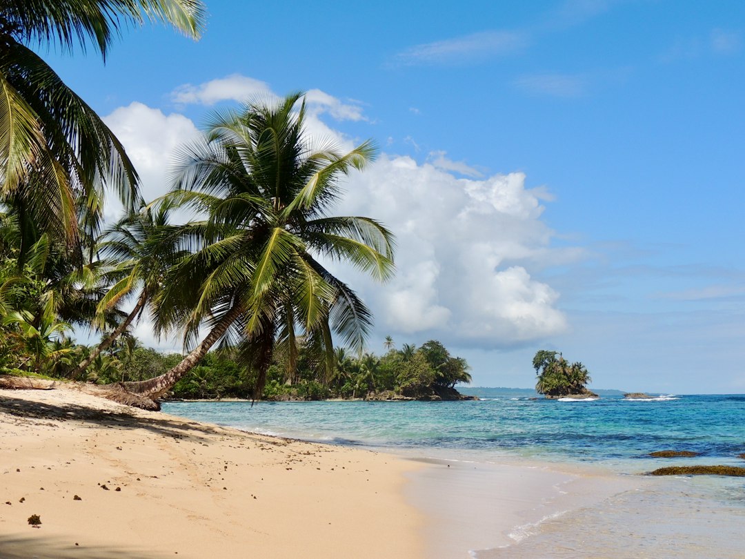 Shell Island