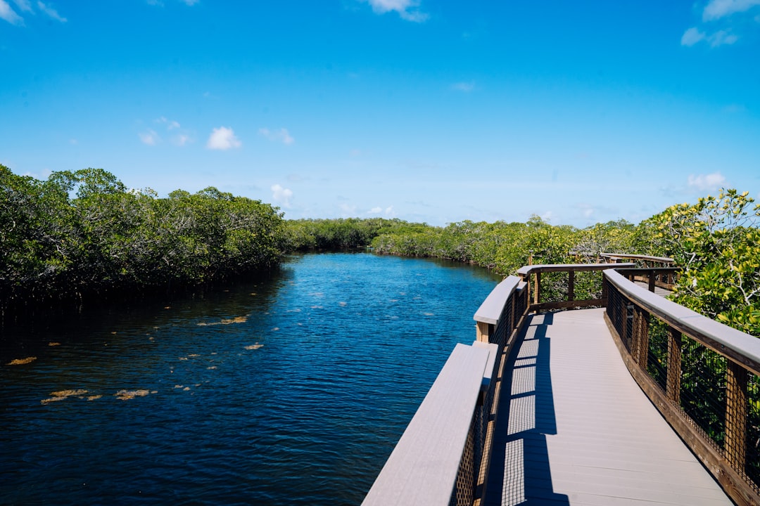 wooden boardwalk trail through Florida wetlands at Conservation Park